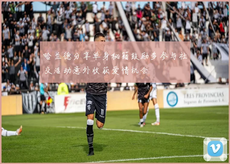 哈兰德分享单身秘籍鼓励多参与社交活动意外收获爱情机会