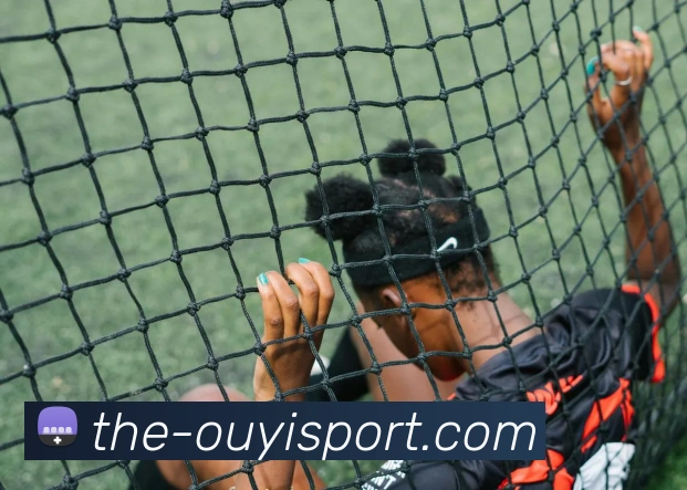 欧亿体育平台生态图